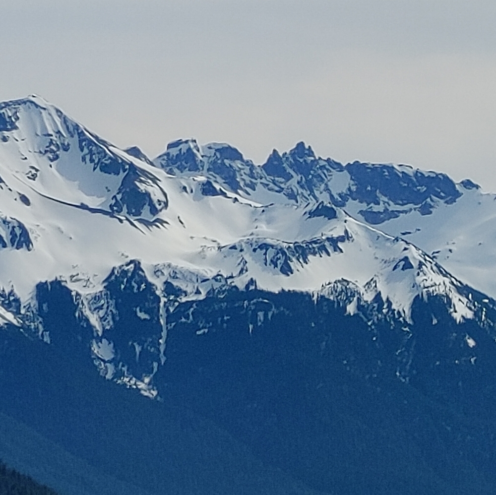 Meet your Posher, Matt